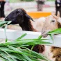 搜索 - 世界杯资讯