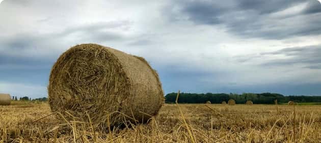 Taking care of the Earth one field at a time - 世界杯资讯