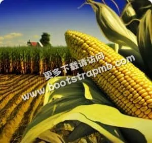 Taking care of the Earth one field at a time - 世界杯资讯